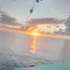 Janeen Brown421 - @janeenbrown - TikTok