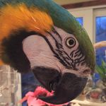 Janeen moore - @janeenskip - Instagram