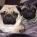 Janeen Patterson - Facebook