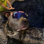 Jayden Wiggins - Facebook