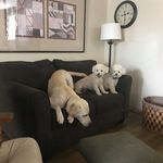 Janeen Wright - @janeen.wright.3 - Instagram