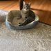 Janell Andersen - Facebook