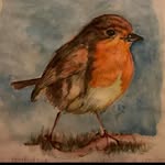 Jane Louise - @janelbell31 - Instagram
