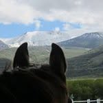 Janet Burke - @mount_haggin_healing_reiki - Instagram