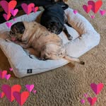 Janet Burke Wilhite - @wilhitejanetyo_ - Instagram