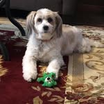 Janet Cunningham - @jannyjan0856 - Instagram