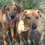 Janet Hatcher - Facebook