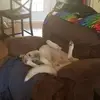 Janet Hatcher - @janet.hatcher - TikTok