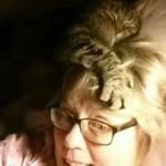 Janet Hoffman - @janethoffman7984 - Instagram