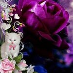 Janet Hoffman - @janet.hoffman.982 - Instagram