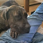 Jane Jensen Sztuk - @sztuk74 - Instagram