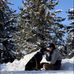 Tyra Janelle Krusky - Facebook