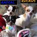 Janet Matthews - Facebook