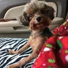 Remmy - @janellematthews6 - TikTok