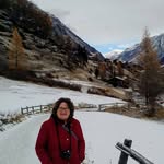 Janet Warren - @janetintorbay - Instagram