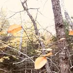 Janet Warren 🌻 - @janet.warren5 - Instagram