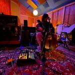 Janel Leppin Weaver + Cellist - @janelleppin - Instagram