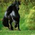 Janell Bailey - Facebook