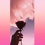 Janell Bailey - @janell.bailey.712 - Instagram