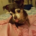 Janelle Ball - @janelle.ball.58 - Instagram
