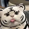 Phạm Thái Mai - @janellebarr535 - TikTok