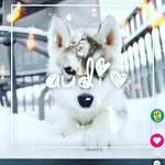 janaell - @janellbelle2017 - Instagram