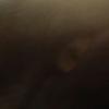user2330322128734 - @janellbird - TikTok