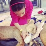 Janelle Cain - @janelle_cain_animal_life - Instagram