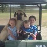 Mike-Janell Carson - @mikejanellcarson - Instagram