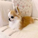 Janelle Cooper - @janellecooper51 - Instagram