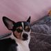 Janell Davidson - Facebook