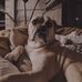 Janell Henderson - Facebook