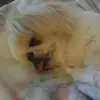 Janell Hoffman696 - @janellhoffman696 - TikTok