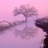 Janell Howell - @janell.howell - TikTok