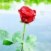 janell love - @janell.love5 - TikTok
