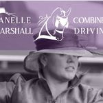 Janelle Marshall Combined Driving - @janellemarshallcombineddriving - Instagram