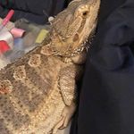 Janell Nicole Murray - @janellmurray98 - Instagram