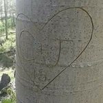 @webbjanell - Instagram
