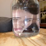 Janelle Young - @janelleyoungstudio - Instagram