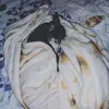 janellebates21 - @doglife717 - TikTok