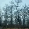 Janelle Boyd - @janellestikok1 - TikTok
