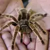 Jane.Carmichael - @jane.carmichael - TikTok