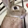 janellecarmichael - @janellecarmichael - TikTok