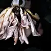 janellecrouch818 - @janellecrouch818 - TikTok