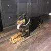 Janelle Crow - @carpet_girl_cleaner0584 - TikTok