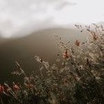 Janelle Dodson - @bray20186 - Instagram
