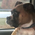 Janelle Coulter Doyle - @janellecd77 - Instagram