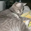 Janelle L. Doyle - @j.rock.1979 - TikTok
