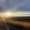 Janelle Geesey - @janelle.geesey - TikTok
