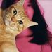 Janelle Grace - Facebook